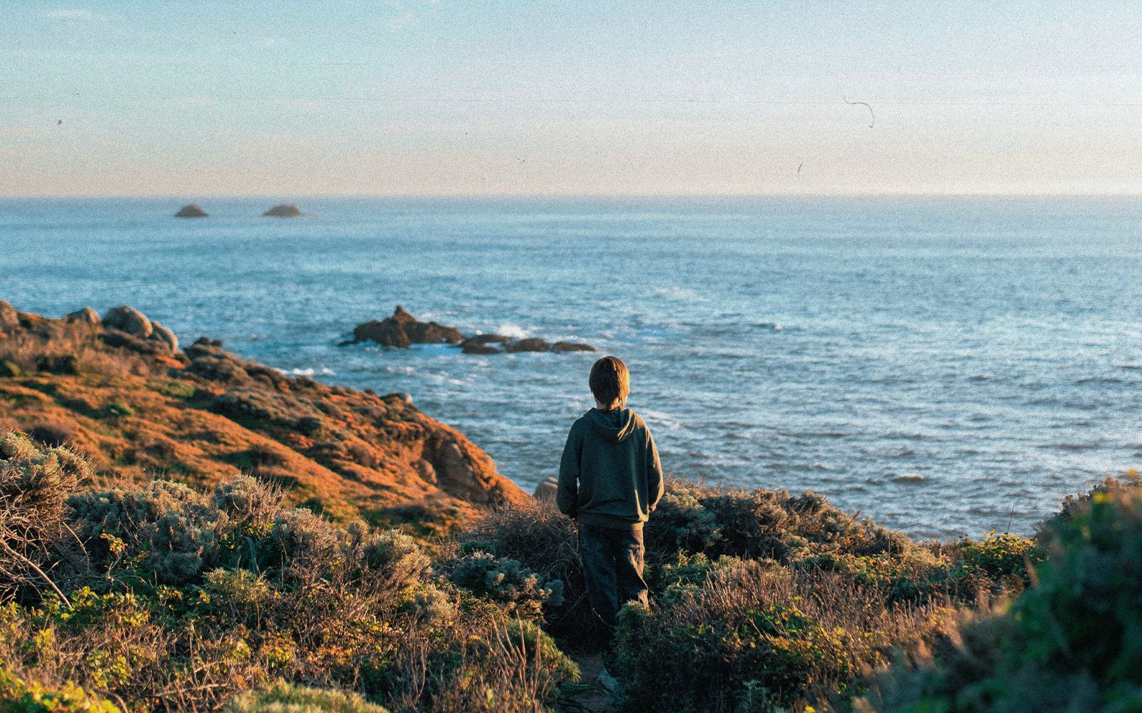 Big Sur: esplorando la costa della California