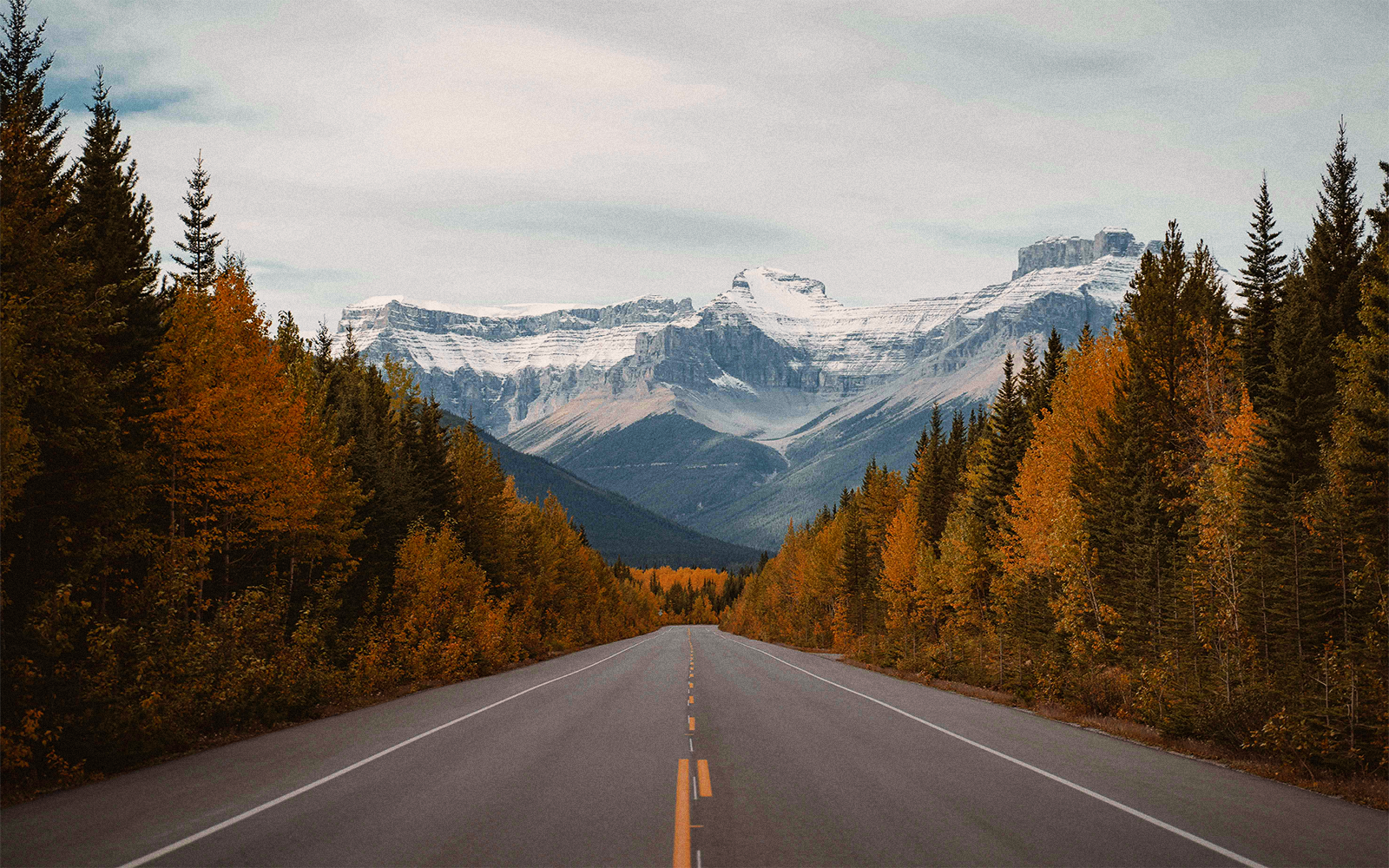 Quando andare in Canada: guida ai periodi Ideali