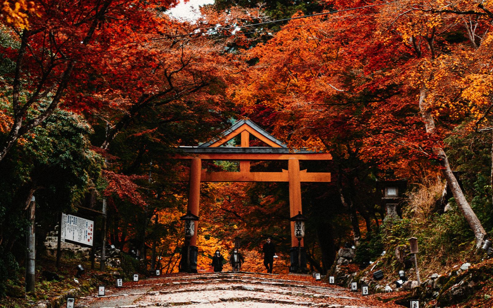 Viaggi di gruppo in Autunno