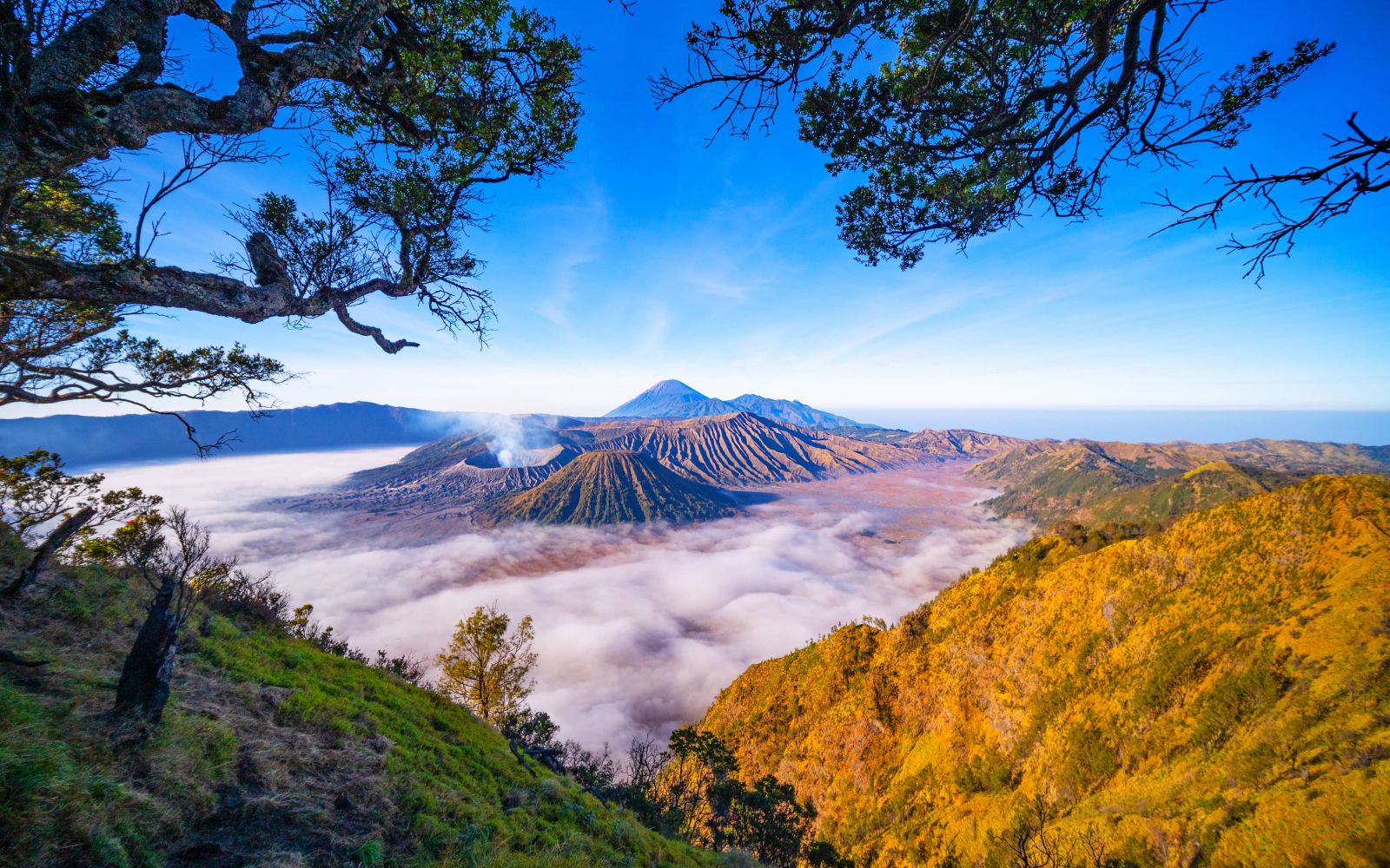 Viaggio di gruppo in Indonesia Bali e Java