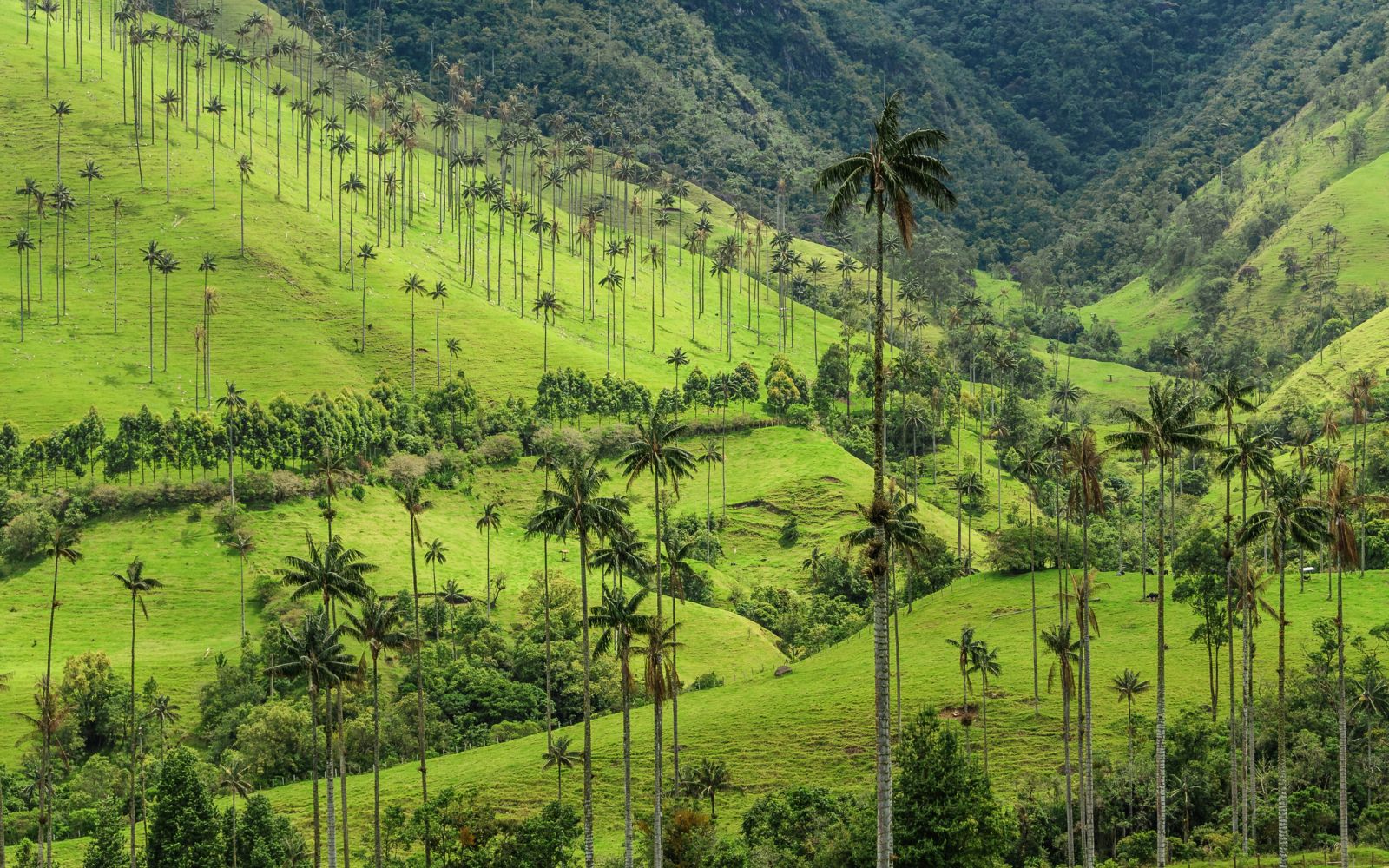 Colombia