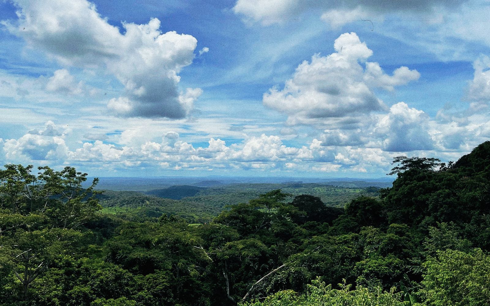 Alla scoperta della Flora e Fauna di Mondulkiri