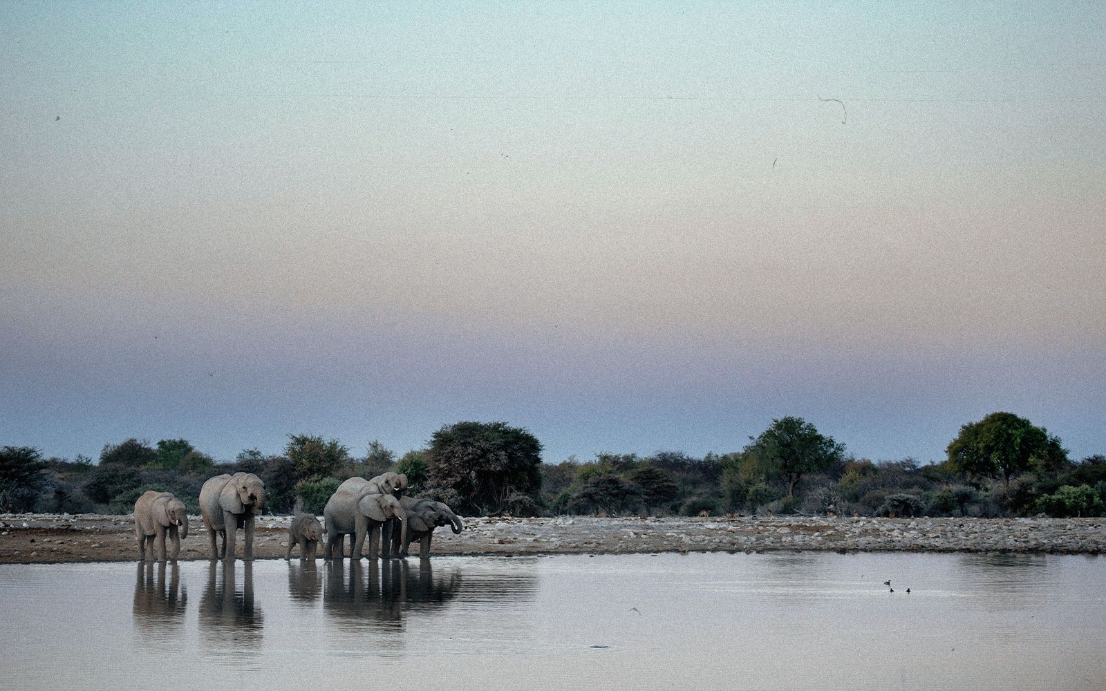 Ngorongoro Crater: avventura tra i Big Five