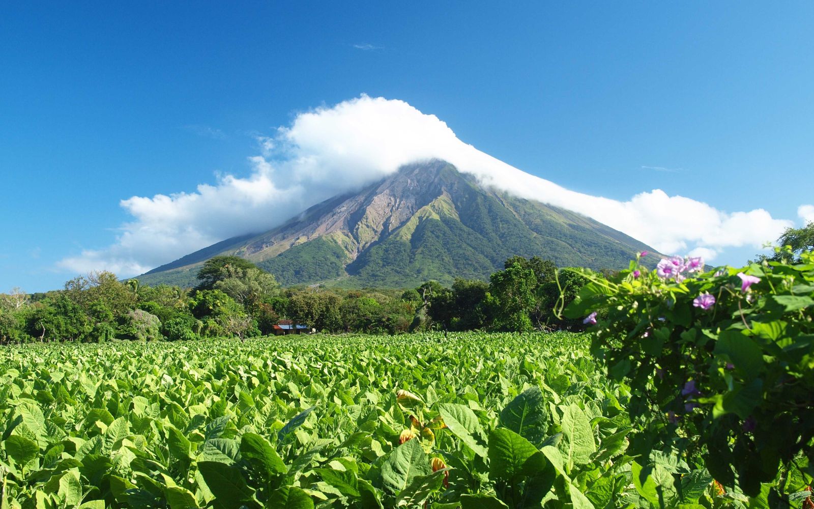 Viaggio di gruppo in Nicaragua