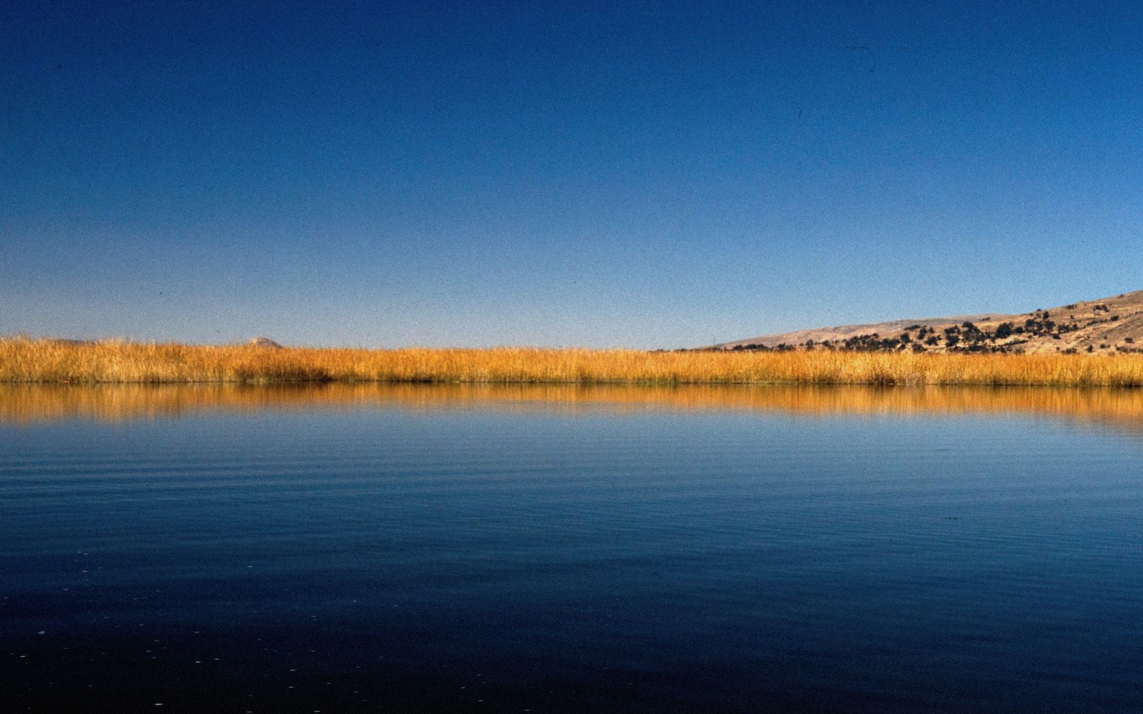 Scopriamo il Lago Titicaca: Il Più Alto del Mondo