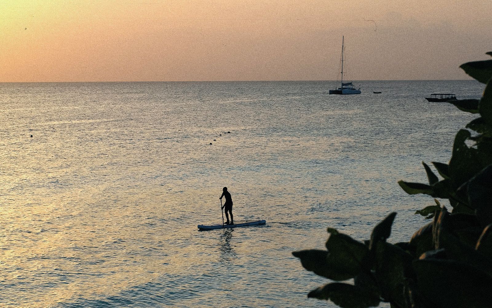 Scoprite Zanzibar a Capodanno con noi: spiagge da sogno, snorkeling, kite surf e una notte indimenticabile per accogliere il nuovo anno.