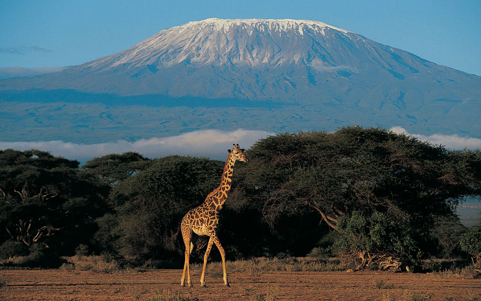 Viaggi di gruppo Kilimangiaro e Zanzibar Viaggi di gruppo Kilimangiaro e Zanzibar