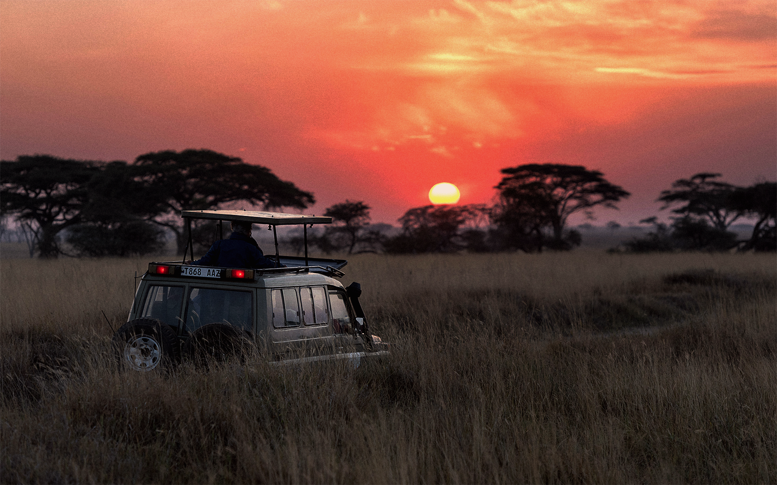 Tanzania: 3 Periodi per il Miglior Safari