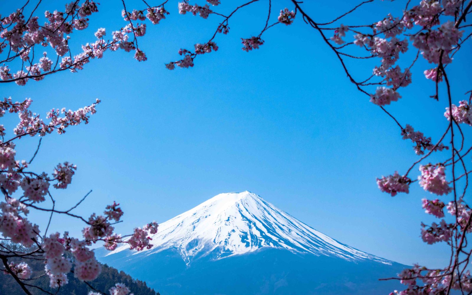 Viaggi di gruppo in Primavera