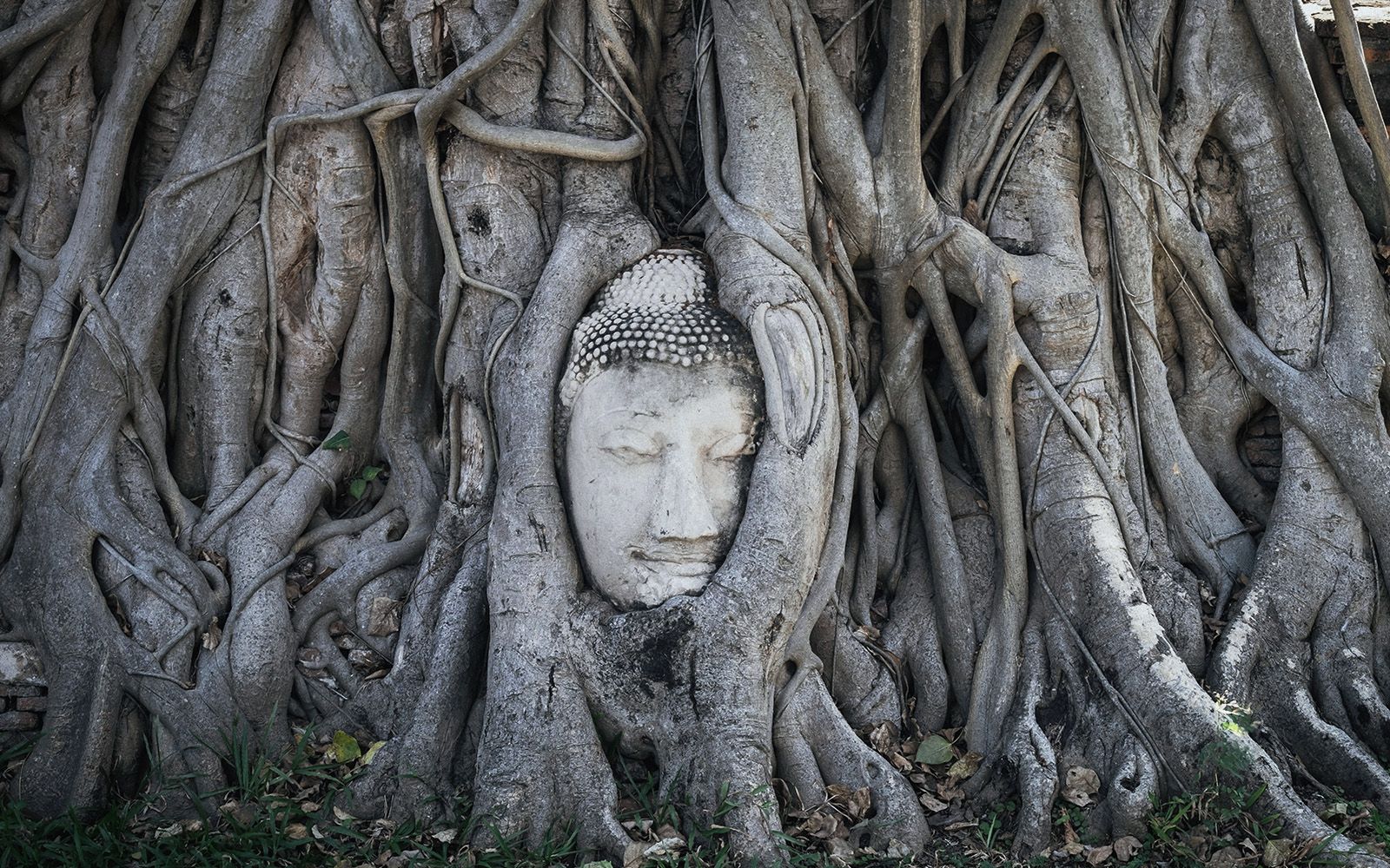 Esplorando Ayutthaya: L'antica capitale del Siam