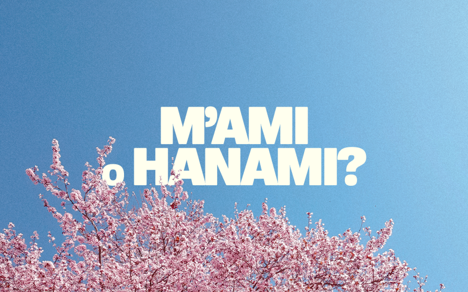 Viaggi di gruppo Hanami sivola