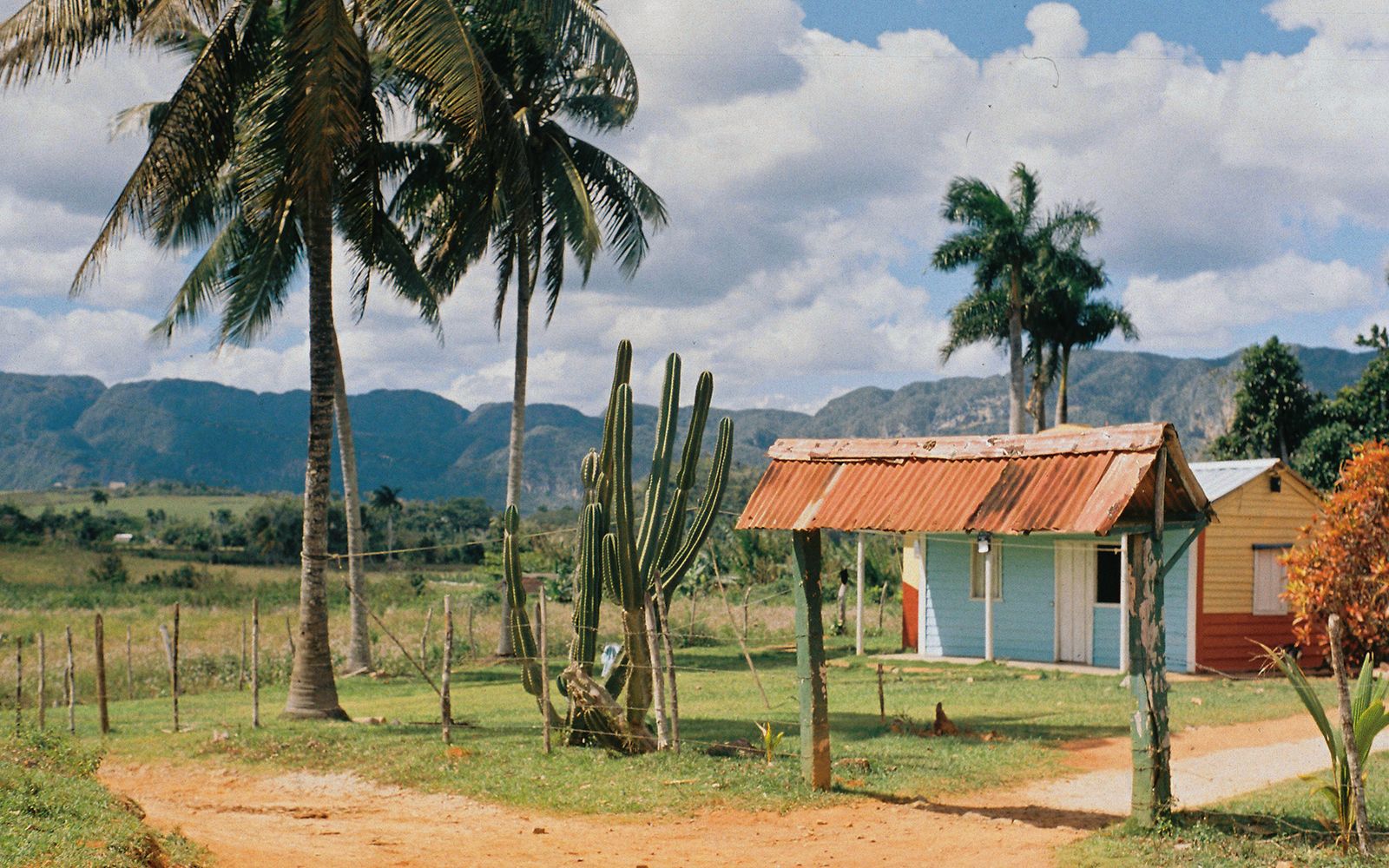 Cuba: guida alle meraviglie dell'Isola Caraibica