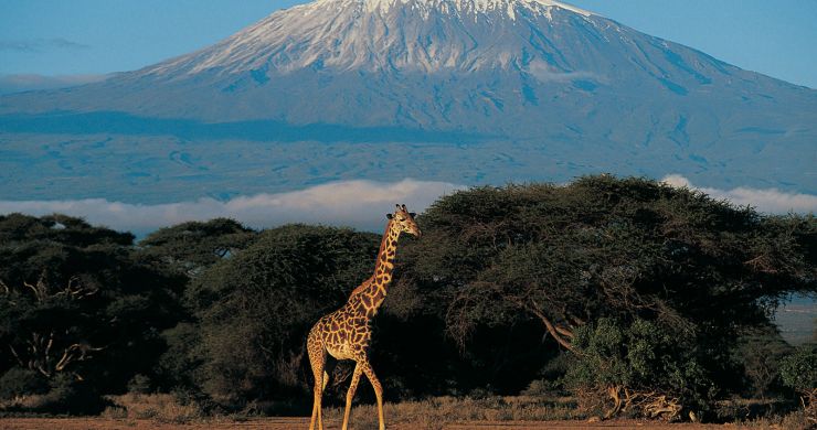 Viaggi di gruppo Kilimangiaro e Zanzibar